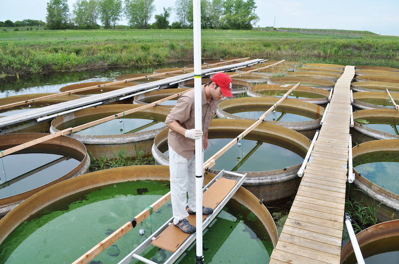 Aquatic Research Facility At The University Of Kansas Field Station ...